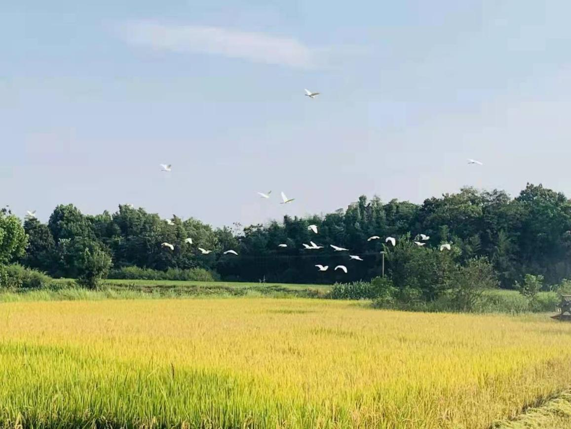 图片16.png