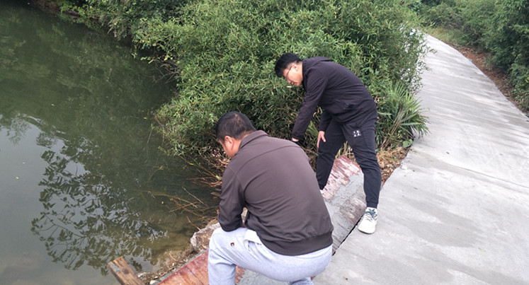 图片10.png